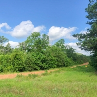 105 Acres &nbsp; Beaver Bend images 4