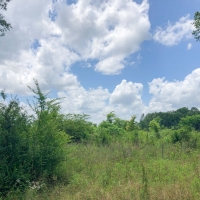 105 Acres &nbsp; Beaver Bend images 5
