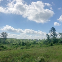 105 Acres &nbsp; Beaver Bend images 6