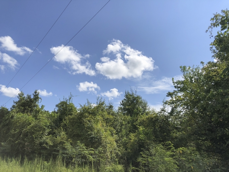 65 Acres &nbsp; Cleveland &nbsp; Worsham featured image