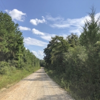 65 Acres &nbsp; Cleveland &nbsp; Worsham images 4