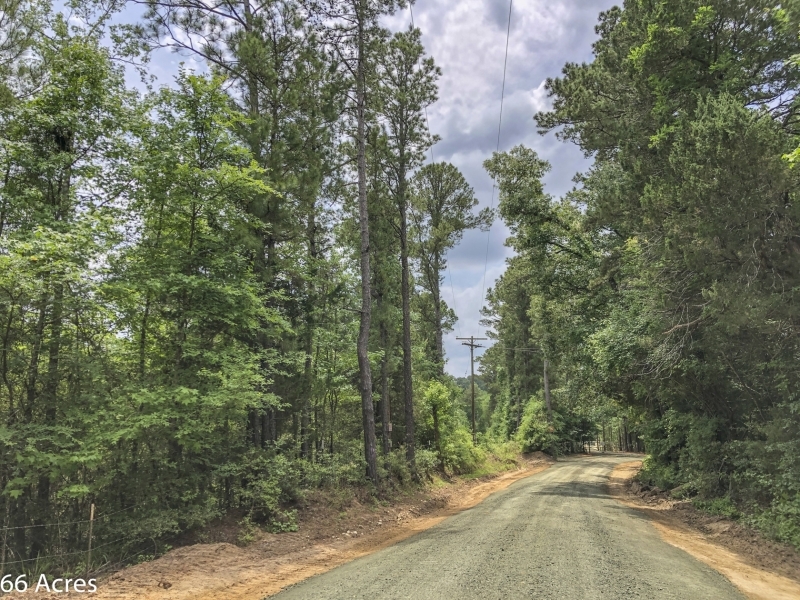 66 Acres &nbsp; Tyler County Getaways featured image