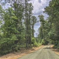 66 Acres &nbsp; Tyler County Getaways