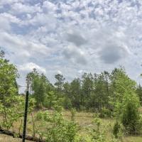 66 Acres &nbsp; Tyler County Getaways images 4