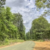 66 Acres &nbsp; Tyler County Getaways images 5