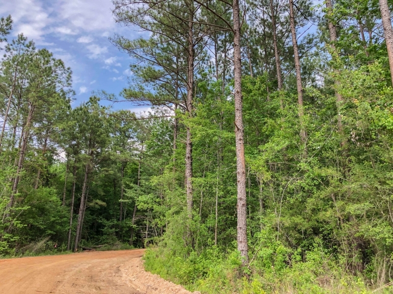 231 Ac &nbsp; Hwy 69 featured image