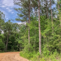 231 Ac &nbsp; Hwy 69