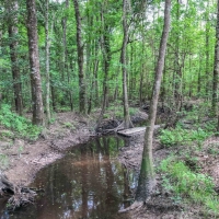 231 Ac &nbsp; Hwy 69 images 3