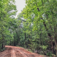 231 Ac &nbsp; Hwy 69 images 4