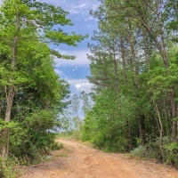231 Ac &nbsp; Hwy 69 images 5