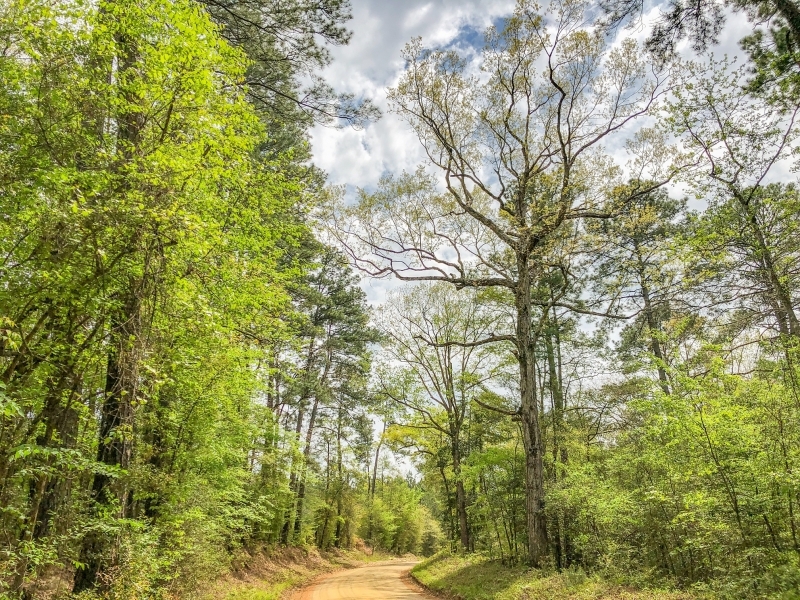 99 Acres &nbsp; CR 2107 featured image
