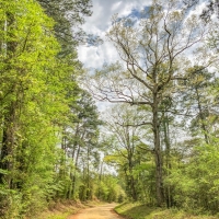 99 Acres &nbsp; CR 2107