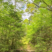 99 Acres &nbsp; CR 2107 images 3