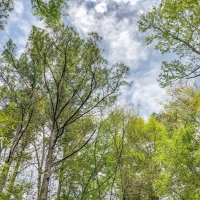 99 Acres &nbsp; CR 2107 images 4