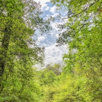 99 Acres &nbsp; CR 2107 images 5