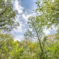 99 Acres &nbsp; CR 2107 images 6