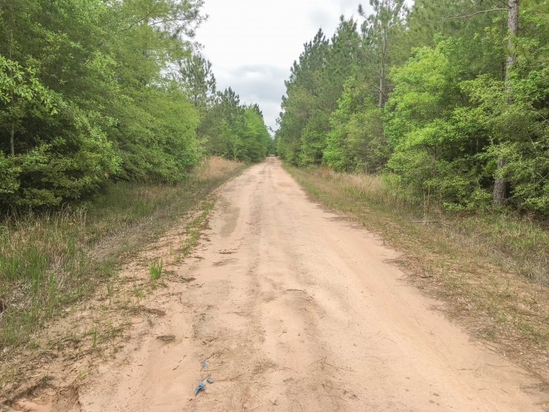 292 Acres &nbsp; Post Oak Road featured image
