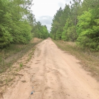 292 Acres &nbsp; Post Oak Road