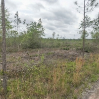 292 Acres &nbsp; Post Oak Road images 3