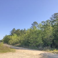 47 Acres &nbsp; Devers  Woods