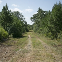 60 Acres &nbsp; CR 4020 images 6