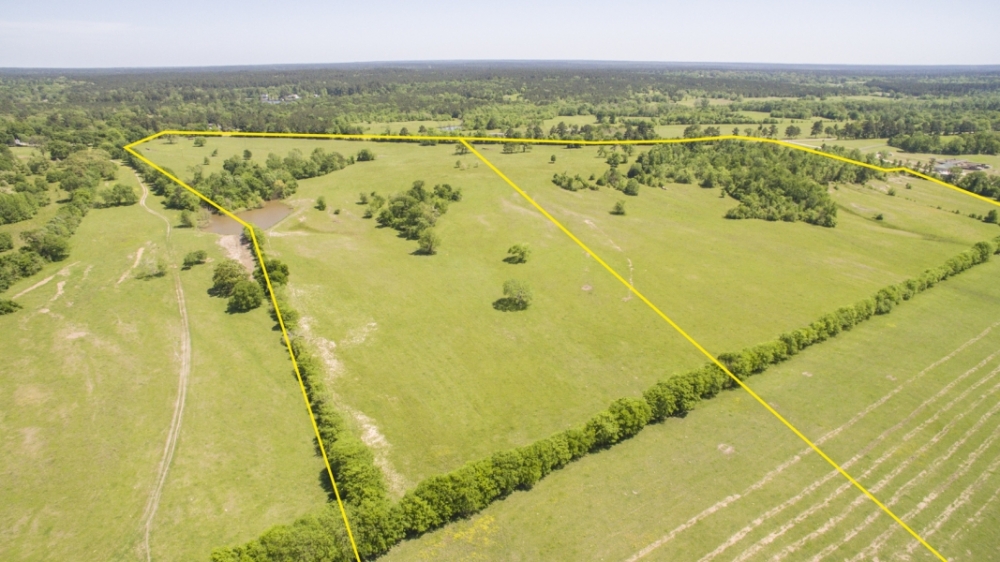 55 Acres FM 1374 Smith Ranch Hunting Land for Sale HuntingLocator