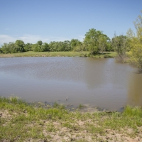 55 Acres &nbsp; FM 1374 &nbsp; Smith Ranch images 2