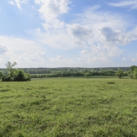 55 Acres &nbsp; FM 1374 &nbsp; Smith Ranch images 4