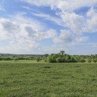 55 Acres &nbsp; FM 1374 &nbsp; Smith Ranch images 6