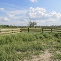 48 Acres &nbsp; Robinson Creek Road &nbsp; Smith Ranch images 2