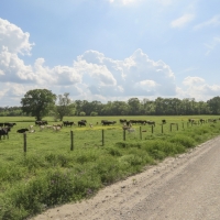 48 Acres &nbsp; Robinson Creek Road &nbsp; Smith Ranch images 3