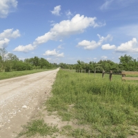 48 Acres &nbsp; Robinson Creek Road &nbsp; Smith Ranch images 5