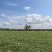 48 Acres &nbsp; Robinson Creek Road &nbsp; Smith Ranch images 6
