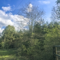 55 Acres &nbsp; FM 1247