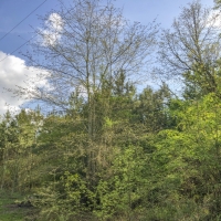 55 Acres &nbsp; FM 1247 images 2