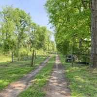 55 Acres &nbsp; FM 1247 images 3