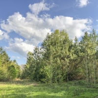 55 Acres &nbsp; FM 1247 images 4