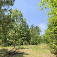55 Acres &nbsp; FM 1247 images 5