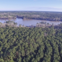 Tyler County Getaways Tract 6