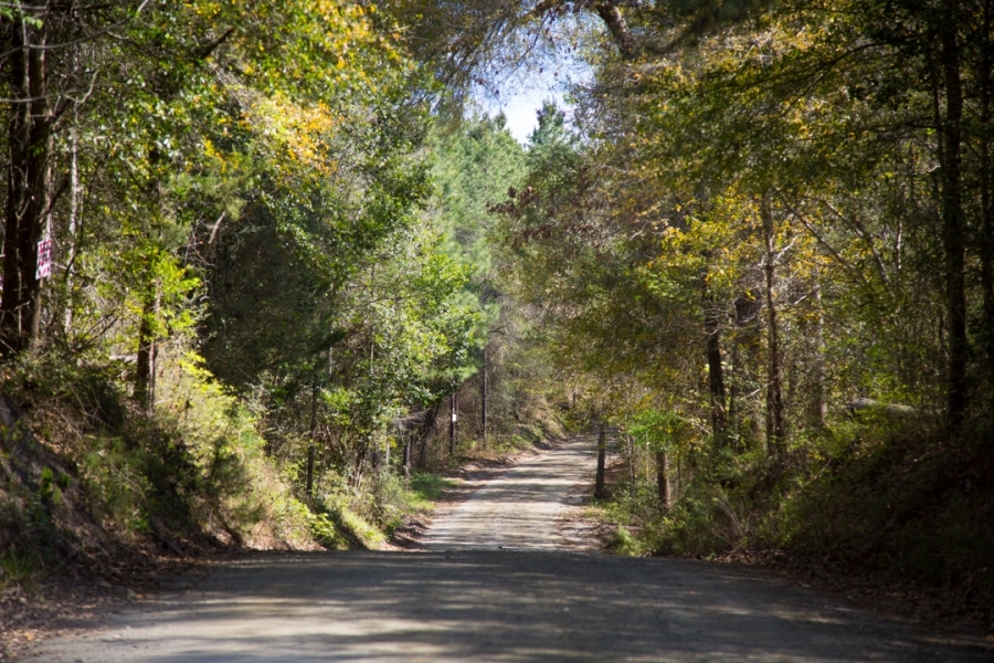 9.087 Acres &nbsp; CR 3150 featured image