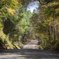 9.087 Acres &nbsp; CR 3150
