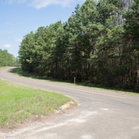 9.087 Acres &nbsp; CR 3150 images 3