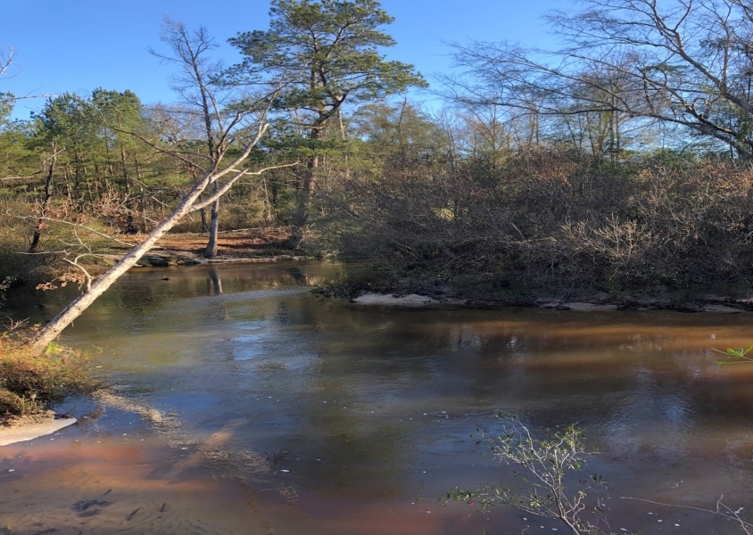 55 Acres in Lamar County in Lumberton  MS featured image
