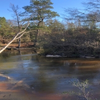 55 Acres in Lamar County in Lumberton  MS