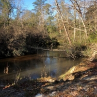 55 Acres in Lamar County in Lumberton  MS images 3