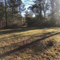 55 Acres in Lamar County in Lumberton  MS images 6
