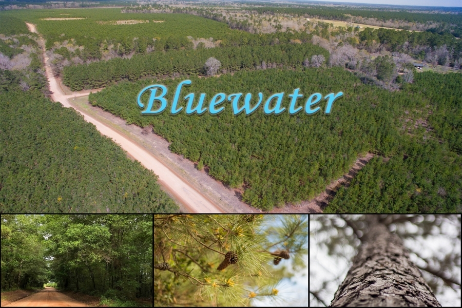 20 Acres &nbsp; Bluewater T3-5 featured image