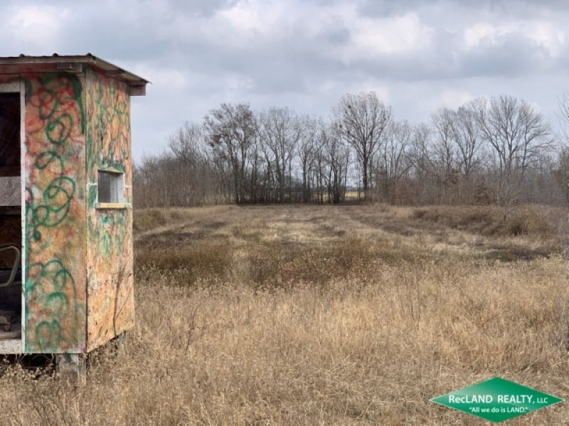32 ac - WRP Hunting Tract - PRICE REDUCED featured image