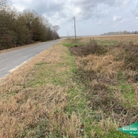 32 ac - WRP Hunting Tract - PRICE REDUCED images 2