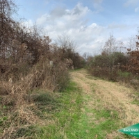 32 ac - WRP Hunting Tract - PRICE REDUCED images 3